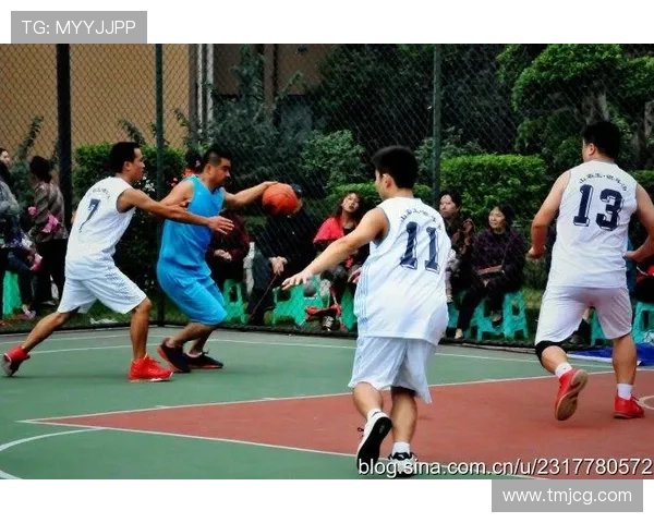 新浪体育聚焦赛场风云新动向